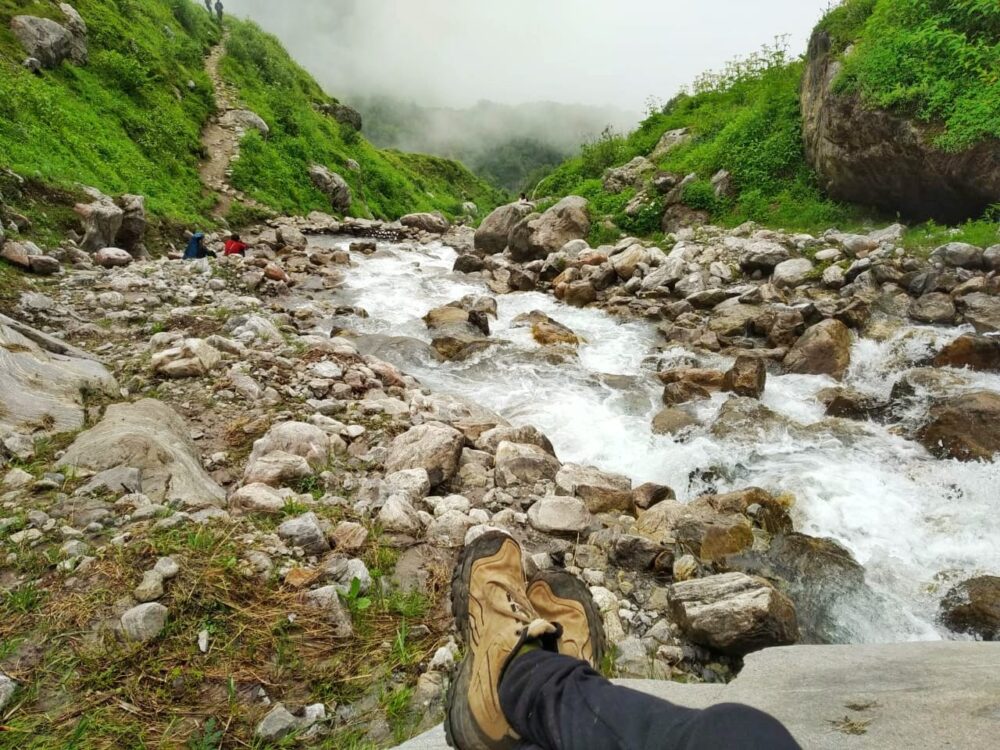 Valley of Flowers - Image 2