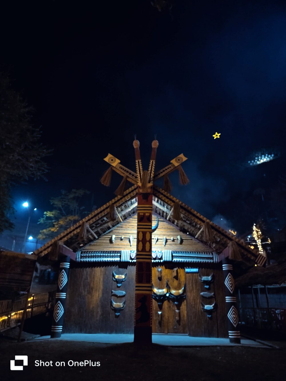 Hornbill Festival with Dzukou Valley - Image 10